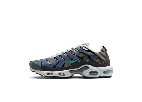 Nike Air Max Plus (HV2525-001) grau