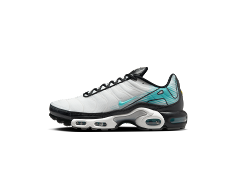 Nike Air Max Plus (HV6225-100) weiss