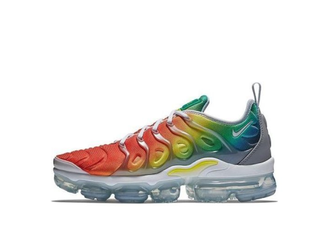 Nike Air VaporMax Plus (924453-103) bunt