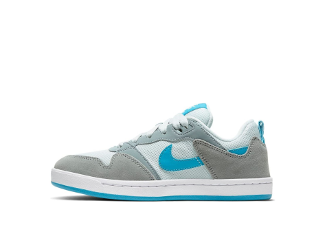 Nike Alleyoop SB (CJ0883-002) bunt
