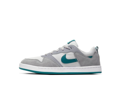 Nike Alleyoop SB (CJ0882-003) bunt