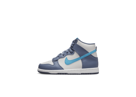 Nike Dunk High (DD2314-006) grau
