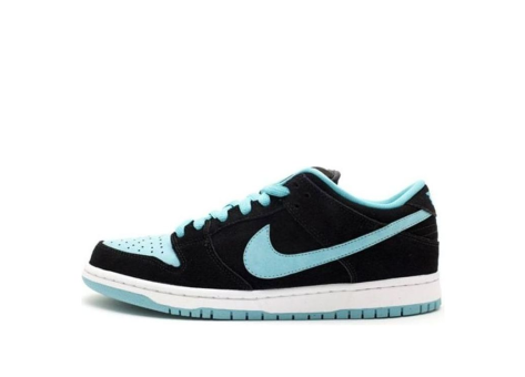 Nike Dunk Low Pro SB Jade Clear (304292-030) bunt