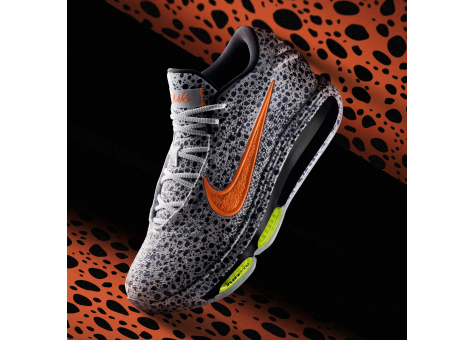 Nike Air Zoom GT Hustle 3 (FV3422-900) grau