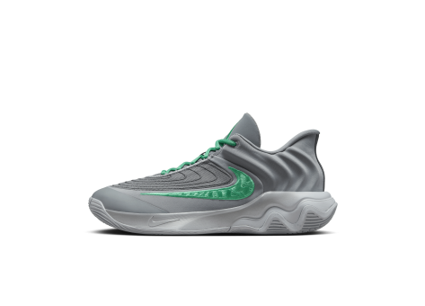 Nike Giannis Immortality 4 (FQ3680-002) grau