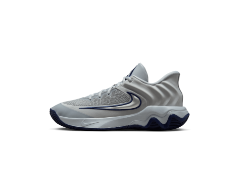 Nike Giannis Immortality 4 (FQ3680-008) grau
