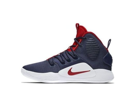 Nike Hyperdunk X EP USA (AO7890-400) bunt