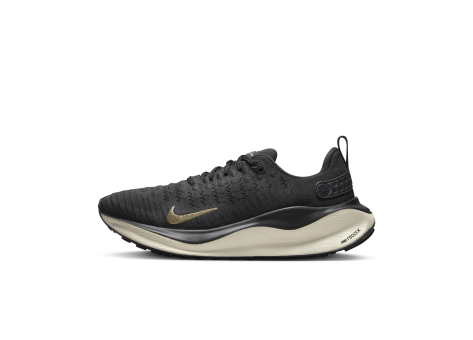 Nike Infinity Run 4 (DR2670-006) grau