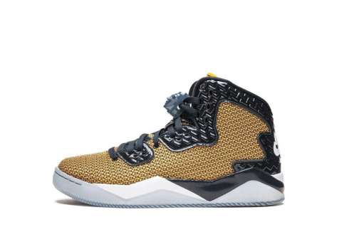 Jordan Air Spike Forty (819952-706) bunt