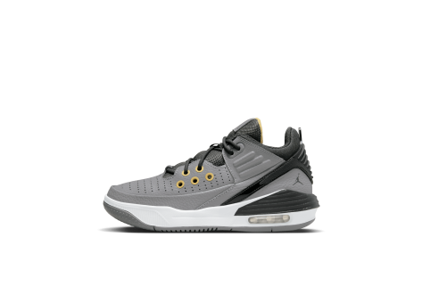 Jordan Max Aura 5 (DZ4352-007) grau