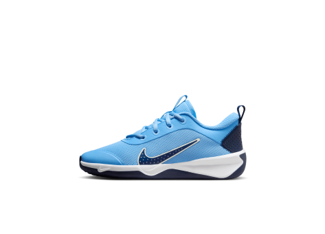 Nike Omni Multi Court (DM9027-405) blau