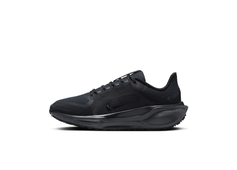 Nike Pegasus 41 GORE TEX (FQ1357-001) schwarz