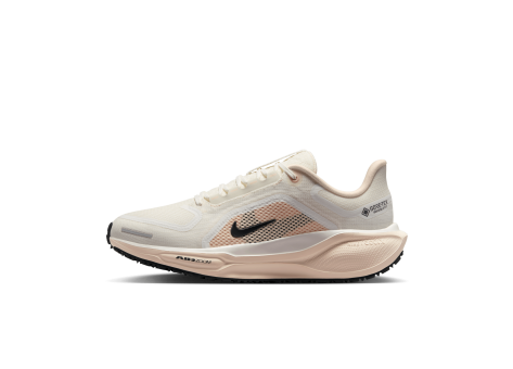 Nike Pegasus 41 GORE TEX (FQ1357-100) weiss