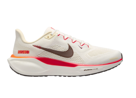 Nike Pegasus 41 (HV5985-101) weiss