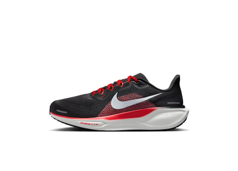 Nike Pegasus 41 (FN4932-005) grau