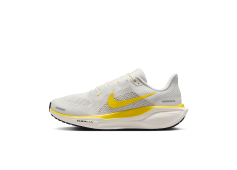 Nike Pegasus 41 (FD2723-111) weiss
