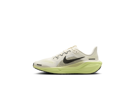 Nike Pegasus 41 Stra (FN5041-106) braun