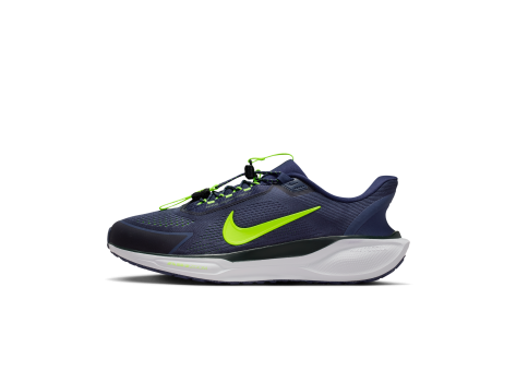 Nike Pegasus EasyOn Stra (FQ7837-500) blau