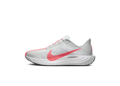 Nike Pegasus Plus (FQ7262-001) grau