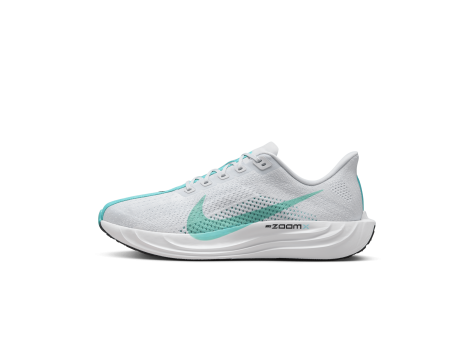 Nike Pegasus Plus (FQ7262-004) grau