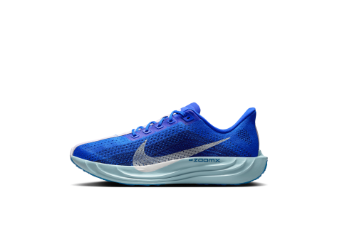 Nike Pegasus Plus (HQ1719-400) blau