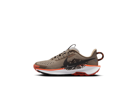 Nike Pegasus 5 (FV5638-200) braun