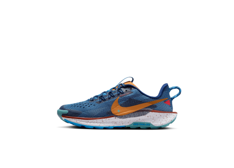 Nike Pegasus Trail 5 ältere (FV5638-400) blau