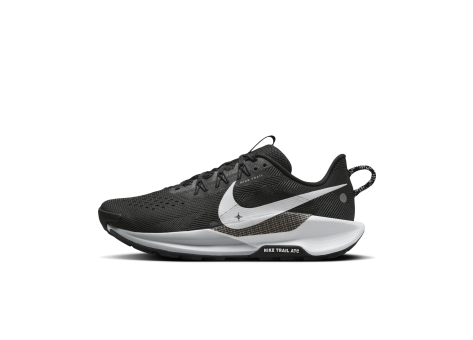 Nike Pegasus Trail 5 (DV3864-001) schwarz