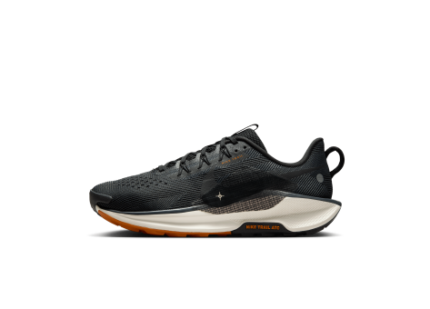 Nike Pegasus Trail 5 (DV3864-006) schwarz