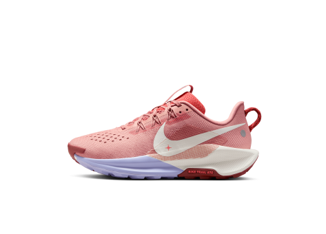 Nike Pegasus Trail 5 (DV3865-601) rot