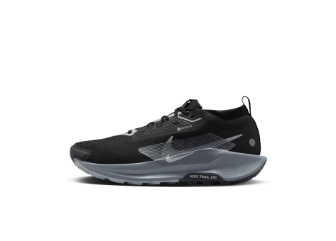 Nike Pegasus Trail 5 GORE TEX (FQ0908 001) schwarz