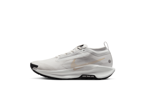 Nike Pegasus Trail 5 Gore TEX (FQ0908-010) weiss