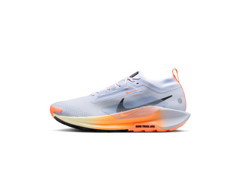 Nike Pegasus Trail 5 GORE TEX (FQ0908-011) weiss