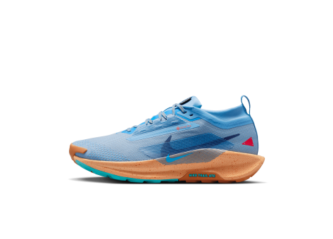 Nike Pegasus Trail 5 GORE TEX (FQ0908-400) bunt