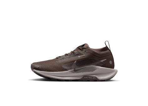 Nike Pegasus Trail 5 Gore Tex Ironstone College Grey Velvet (FQ0912-012) braun