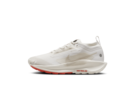 Nike Pegasus Trail 5 GORE TEX (FQ0912-100) weiss