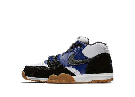 Nike Polar Skate Co x Air Trainer 1 SB (CI6892-001) bunt