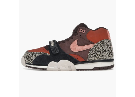 Nike SB Air Trainer 1 Limestone Arts Rec (IF0501-200) bunt