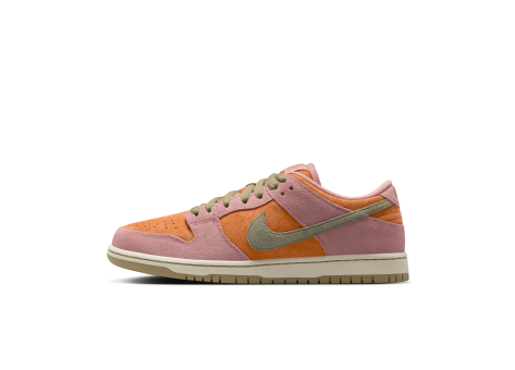 Nike SB Dunk Stardust Low (HJ4135-600) bunt