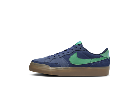 Nike Pogo Plus (DV5469-402) blau