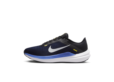 Nike Air Winflo 10 (DV4022-005) bunt