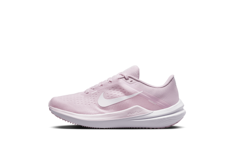 Nike Winflo 10 (DV4023-600) pink