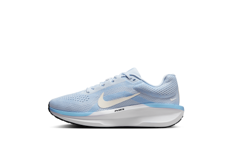 Nike Winflo 11 (FJ9510-007) blau