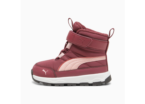 PUMA Evolve AC (392646-04) rot