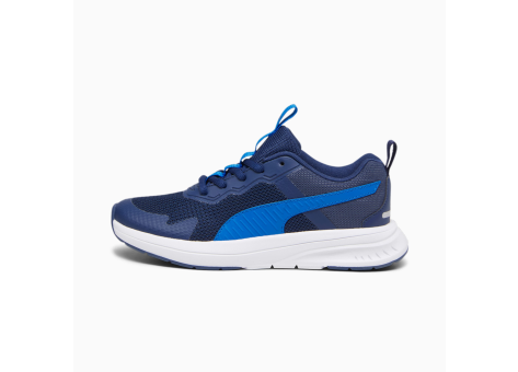 PUMA Evolve Run Mesh Teenager (386238_09) blau