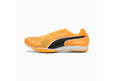 PUMA evoSPEED Haraka 8 (311858_01) weiss