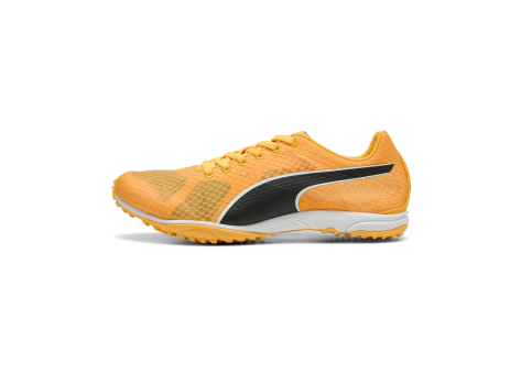 PUMA evoSPEED Haraka 8 (311858_01) gelb