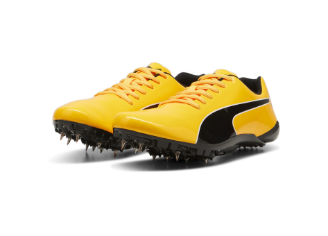 PUMA evoSPEED Prep Sprint 3.5 (310773-01) schwarz