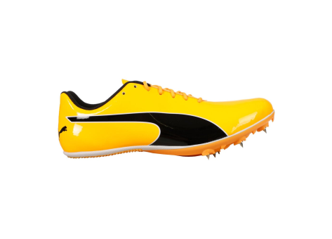 PUMA EvoSPEED Sprint 14.5 (310706-01) orange