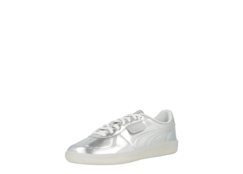 PUMA Palermo Chrome (399276/001) grau